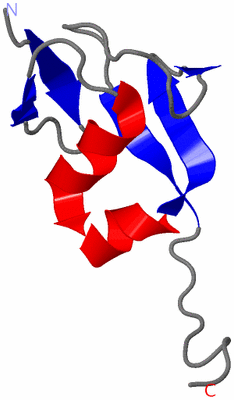 Image NMR Structure - model 1