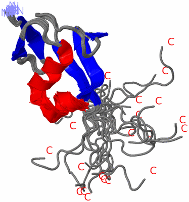 Image NMR Structure - all models