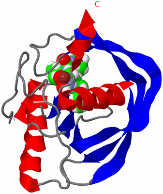 Image NMR Structure - model 1