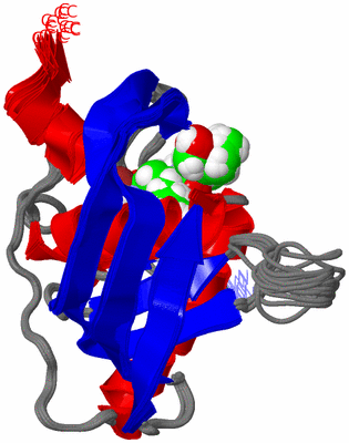 Image NMR Structure - all models