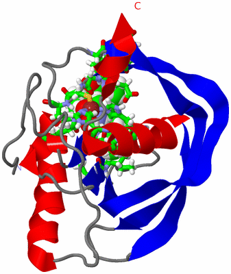 Image NMR Structure - model 1, sites