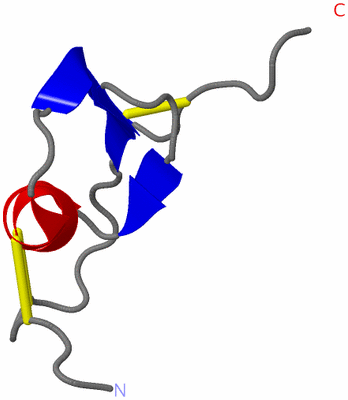 Image NMR Structure - model 1