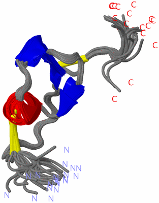 Image NMR Structure - all models