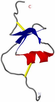 Image NMR Structure - model 1