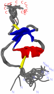 Image NMR Structure - all models