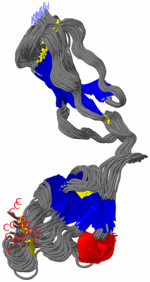 Image NMR Structure - all models