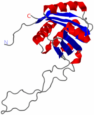 Image NMR Structure - model 1