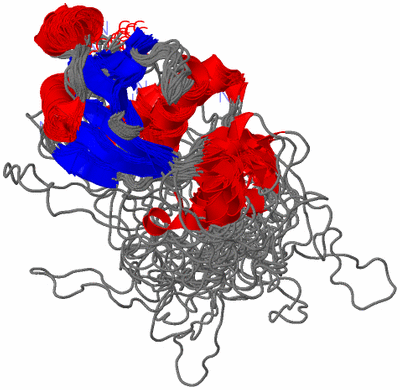 Image NMR Structure - all models