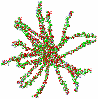 Image NMR Structure - all models