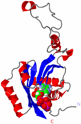 Image NMR Structure - model 1