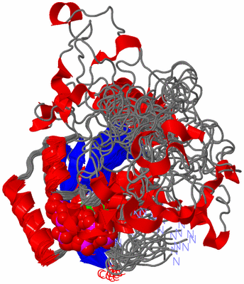 Image NMR Structure - all models