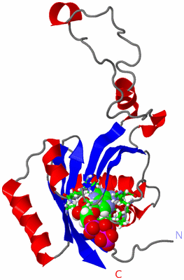 Image NMR Structure - model 1, sites