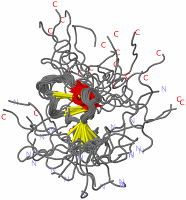 Image NMR Structure - all models