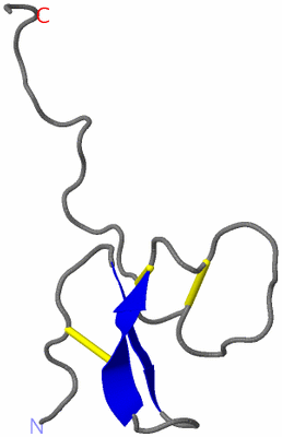 Image NMR Structure - model 1