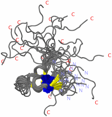 Image NMR Structure - all models