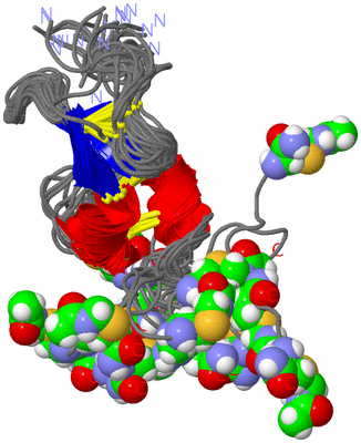 Image NMR Structure - all models