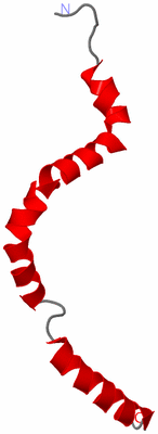 Image NMR Structure - model 1