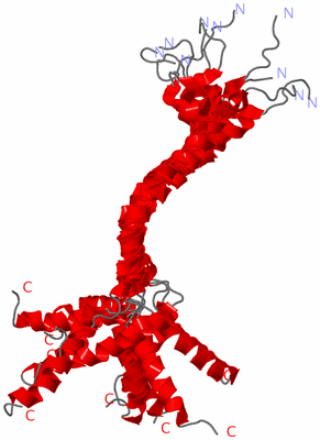 Image NMR Structure - all models