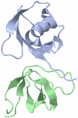 Image NMR Structure - model 1