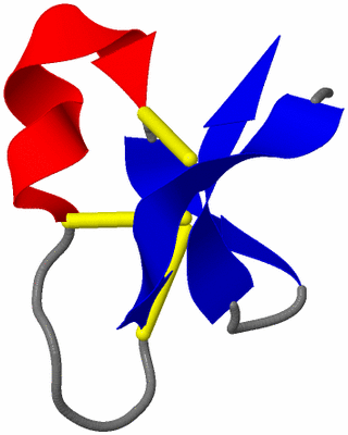 Image NMR Structure - model 1