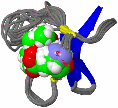 Image NMR Structure - all models