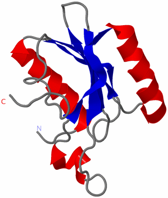 Image NMR Structure - model 1