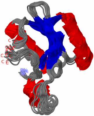 Image NMR Structure - all models