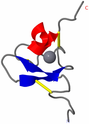 Image NMR Structure - model 1