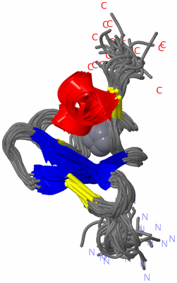 Image NMR Structure - all models