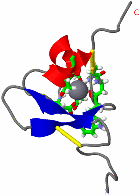 Image NMR Structure - model 1, sites