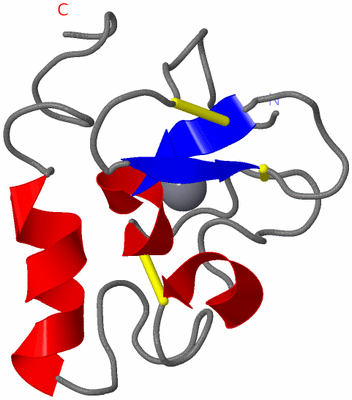 Image NMR Structure - model 1