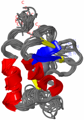 Image NMR Structure - all models