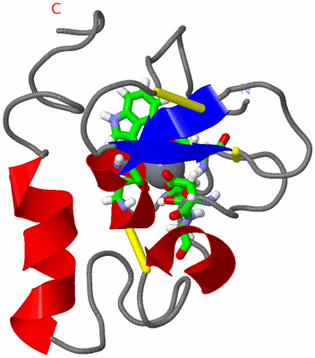 Image NMR Structure - model 1, sites