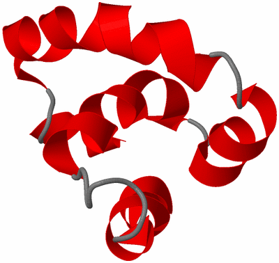 Image NMR Structure - model 1