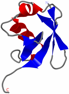 Image NMR Structure - model 1