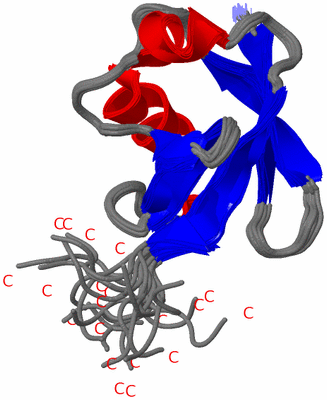 Image NMR Structure - all models