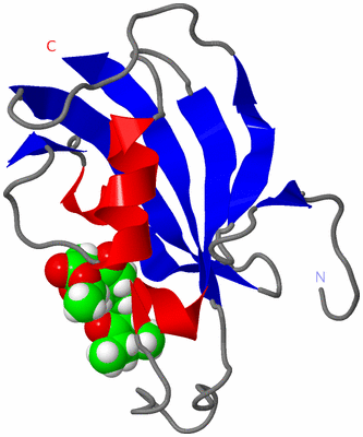 Image NMR Structure - model 1