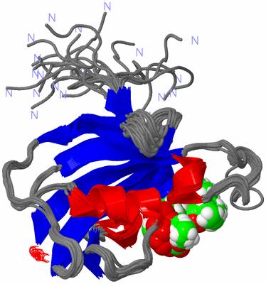 Image NMR Structure - all models