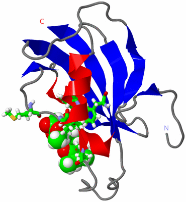 Image NMR Structure - model 1, sites