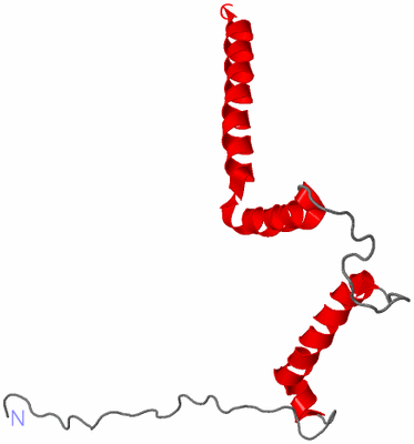 Image NMR Structure - model 1