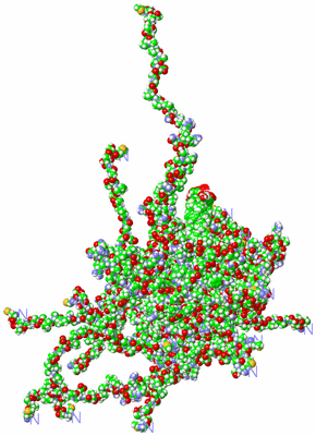 Image NMR Structure - all models