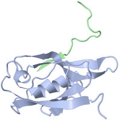 Image NMR Structure - model 1