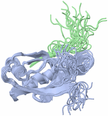 Image NMR Structure - all models