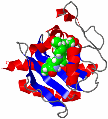 Image NMR Structure - model 1