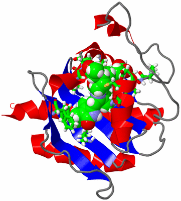 Image NMR Structure - model 1, sites