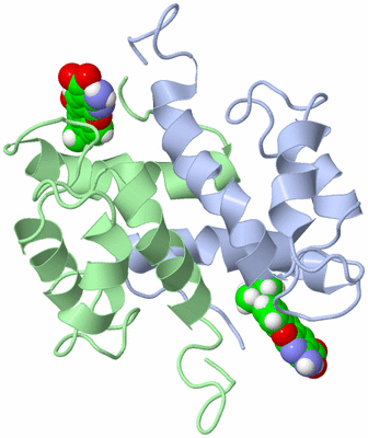 Image NMR Structure - model 1