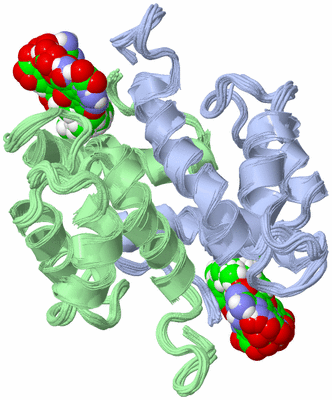 Image NMR Structure - all models