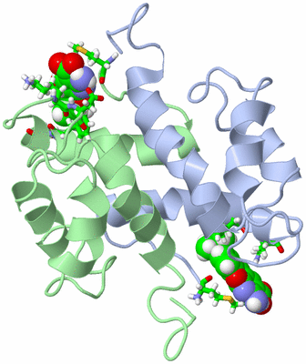 Image NMR Structure - model 1, sites