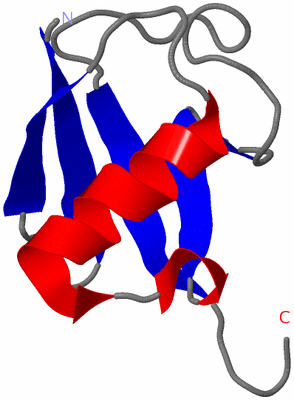 Image NMR Structure - model 1