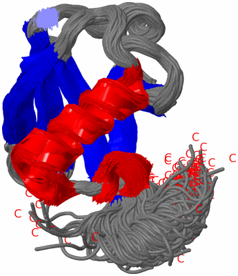 Image NMR Structure - all models